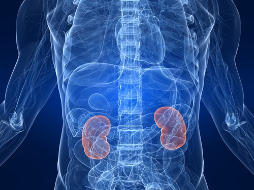 Kidneys-diseases
