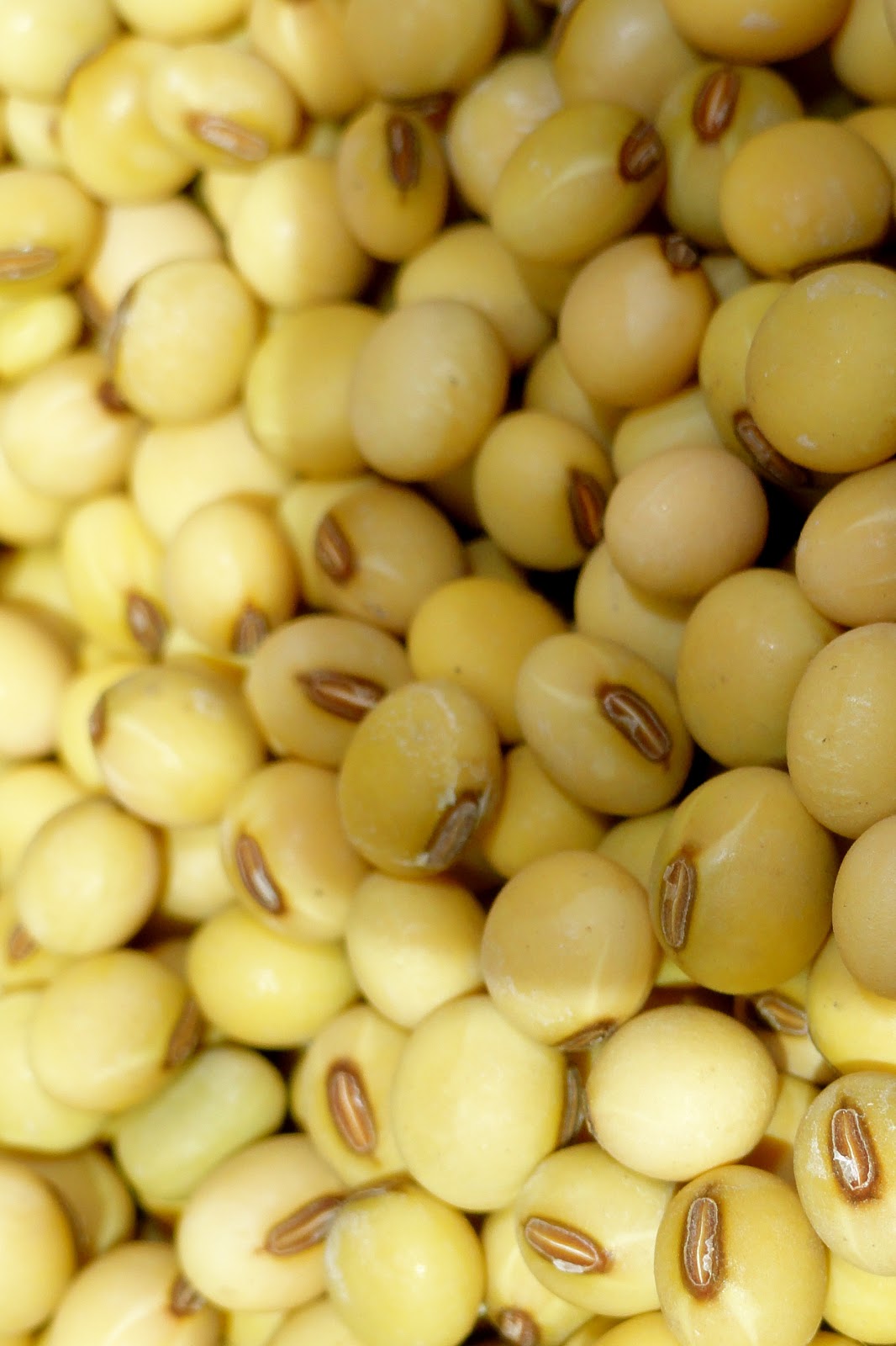 Soybeans