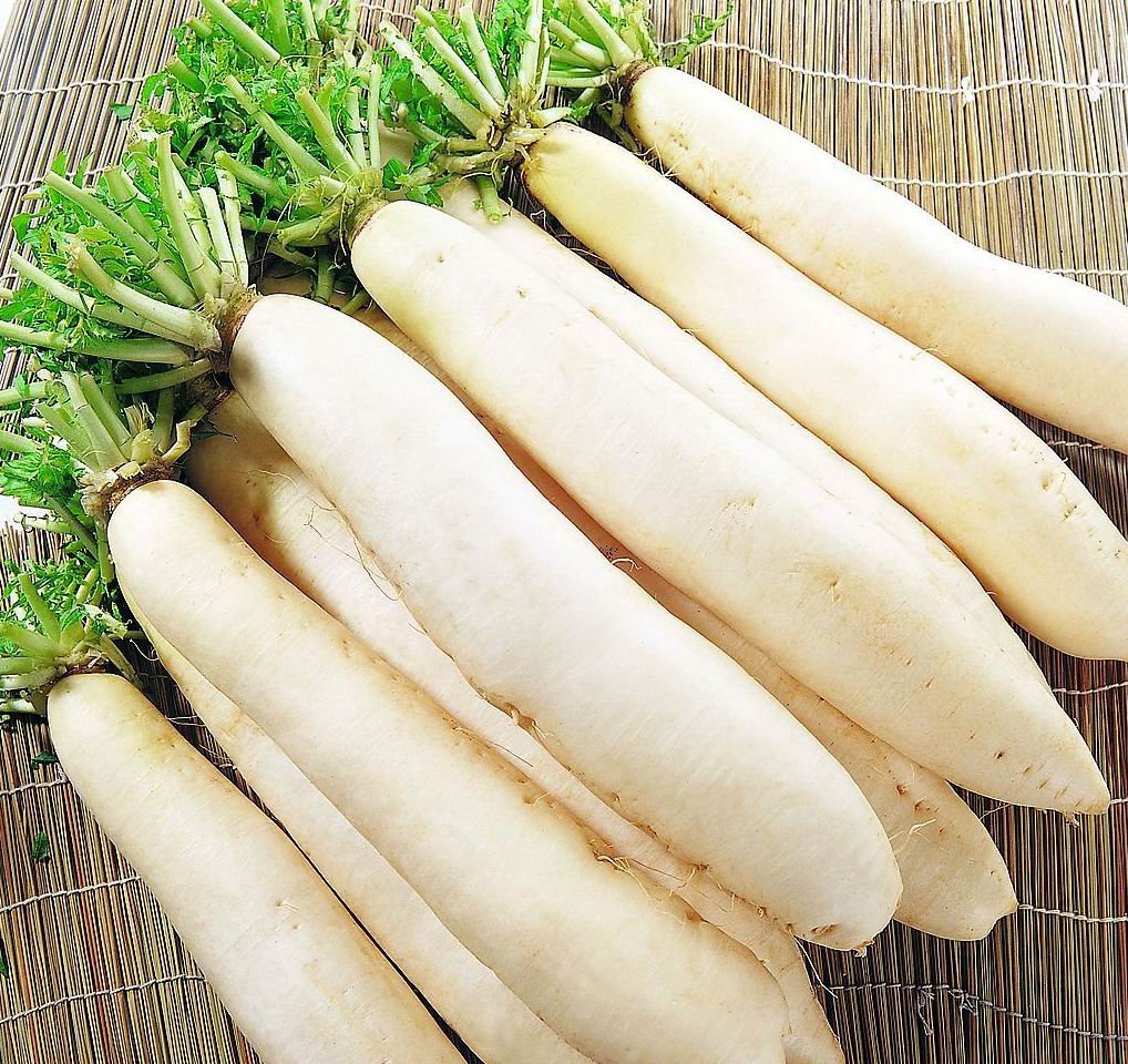 white radish