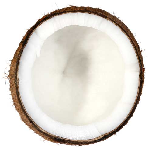 coconut