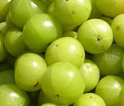 gooseberry-benefits