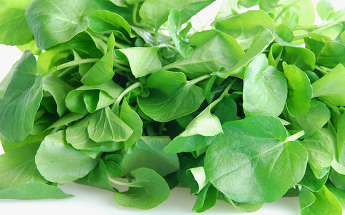 green_leafy_vegetables