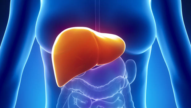 human-liver