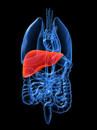 liver-diseases