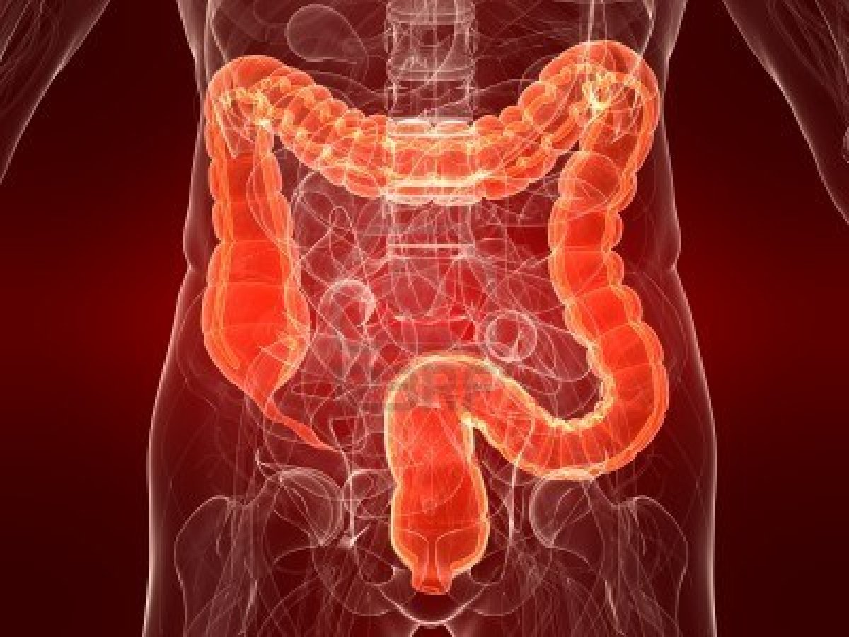symptoms-of-colon-rectum