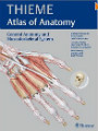 General Anatomy and Musculoskeletal System, 1 Pap/Psc