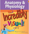 Anatomy & Physiology - Made Incredibly Visual, 1st Ed.