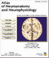 Atlas of Neuroanatomy and Neurophysiology Special Ed from Netters Medical Illustrations