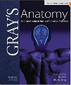 Gray's Anatomy - The Anatomical Basis of Clinical Practice, 39th Ed