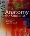 Gray's Anatomy for Students, 1st Ed