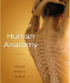 Human Anatomy by Marieb, 6th ed