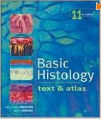 Junqueira's Basic Histology - Text and Atlas, 11th ed
