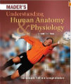 Mader's Understanding Human Anatomy & Physiology, 7th ed