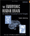The Embryonic Human Brain, 3rd ed