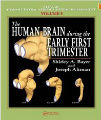 The Human Brain During the Early First Trimester, 1st ed