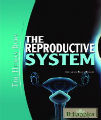The Reproductive System - The Human Body